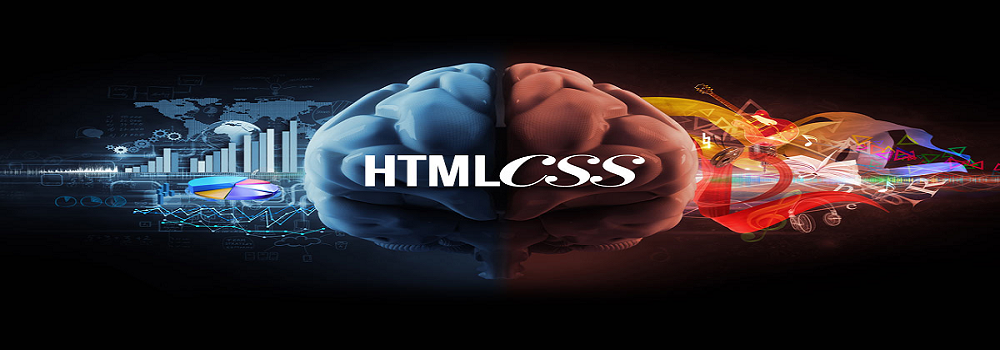 WEB TASARIM KODLARI
